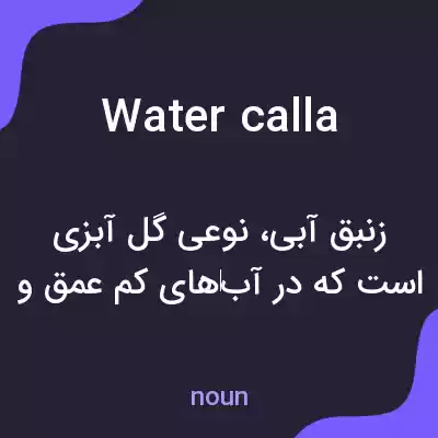 معنی water calla به فارسی معنی water calla به فارسی