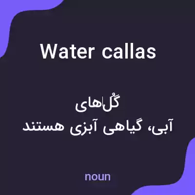 معنی water callas به فارسی معنی water callas به فارسی