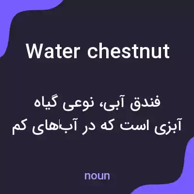 معنی water chestnut به فارسی معنی water chestnut به فارسی