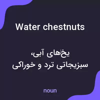 معنی water chestnuts به فارسی معنی water chestnuts به فارسی