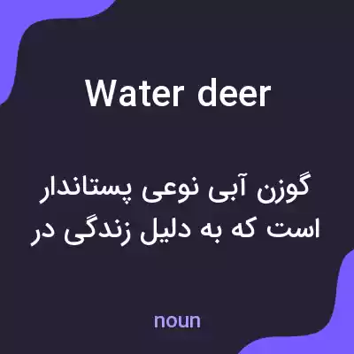 معنی water deer به فارسی معنی water deer به فارسی