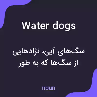 معنی waterdogs به فارسی معنی waterdogs به فارسی