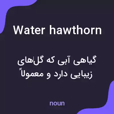معنی water hawthorn به فارسی