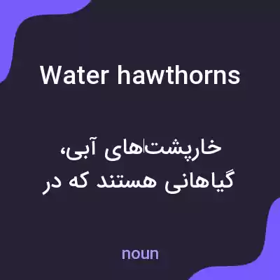 معنی water hawthorns به فارسی معنی water hawthorns به فارسی