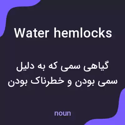 معنی water hemlocks به فارسی معنی water hemlocks به فارسی