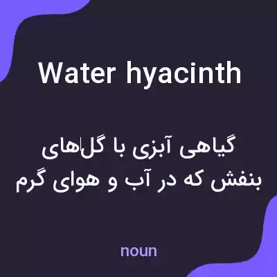 معنی water hyacinth به فارسی معنی water hyacinth به فارسی