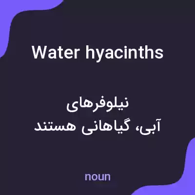 معنی water hyacinths به فارسی معنی water hyacinths به فارسی