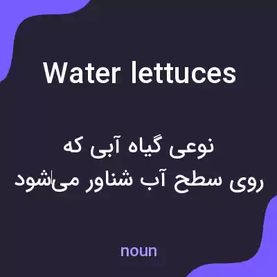 معنی water lettuces به فارسی