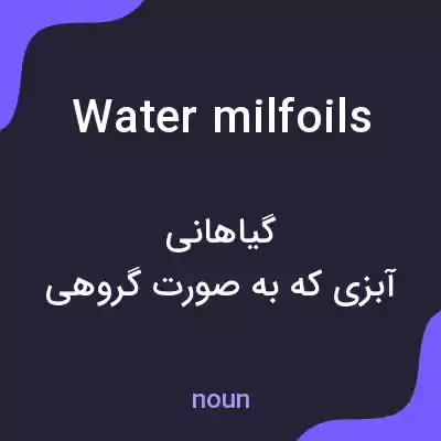 معنی water milfoils به فارسی معنی water milfoils به فارسی