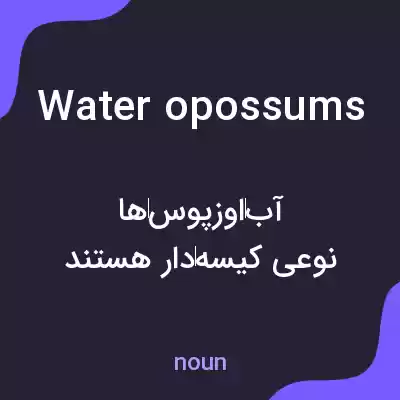 معنی water opossums به فارسی معنی water opossums به فارسی