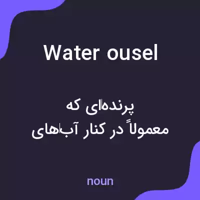 معنی water ousel به فارسی معنی water ousel به فارسی