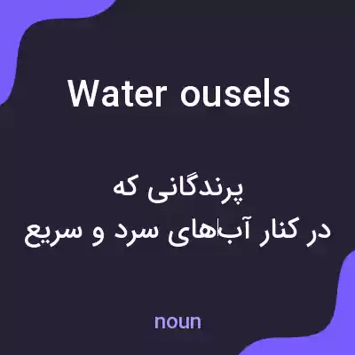 معنی water ousels به فارسی معنی water ousels به فارسی