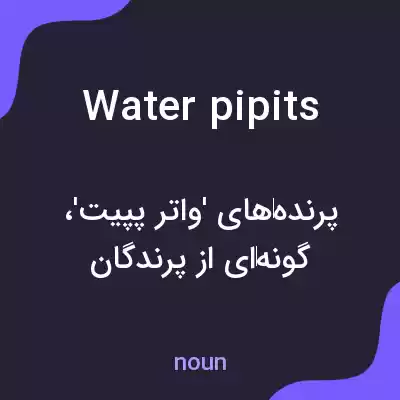 معنی water pipits به فارسی معنی water pipits به فارسی