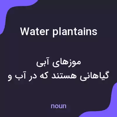 معنی water plantains به فارسی معنی water plantains به فارسی