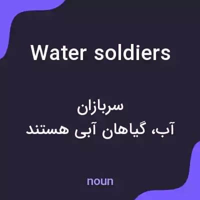 معنی water soldiers به فارسی معنی water soldiers به فارسی