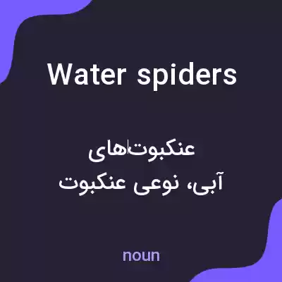 معنی water spiders به فارسی معنی water spiders به فارسی