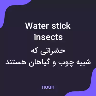 معنی water stick insects به فارسی معنی water stick insects به فارسی