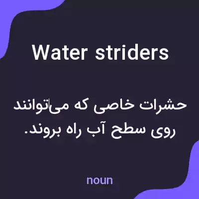 معنی water striders به فارسی معنی water striders به فارسی
