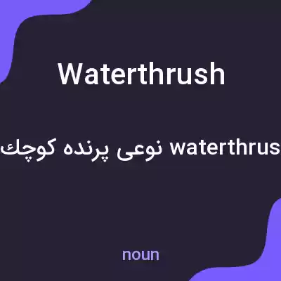 معنی waterthrush به فارسی