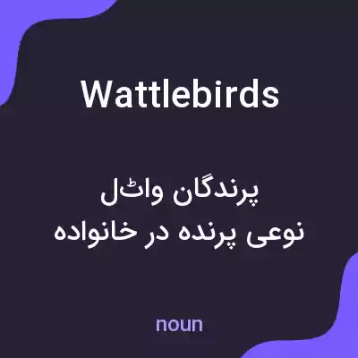 معنی wattlebirds به فارسی معنی wattlebirds به فارسی