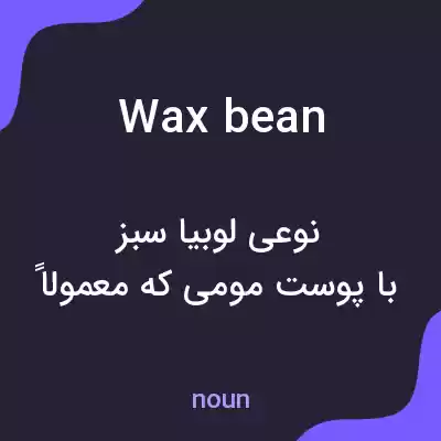 معنی wax bean به فارسی