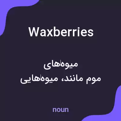 معنی waxberries به فارسی معنی waxberries به فارسی