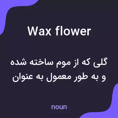 معنی wax flower به فارسی معنی wax flower به فارسی
