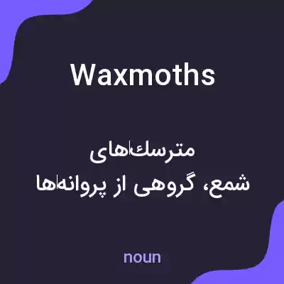 معنی wax moths به فارسی معنی wax moths به فارسی