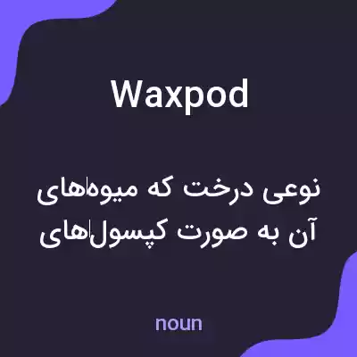 معنی waxpod به فارسی معنی waxpod به فارسی