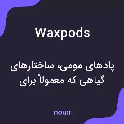 معنی waxpods به فارسی معنی waxpods به فارسی