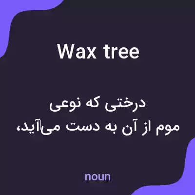 معنی wax tree به فارسی