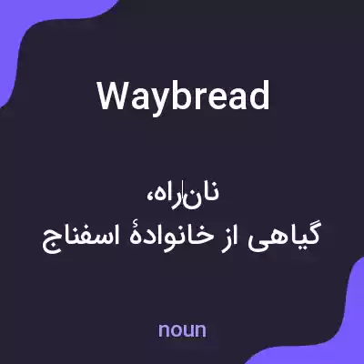معنی waybread به فارسی معنی waybread به فارسی