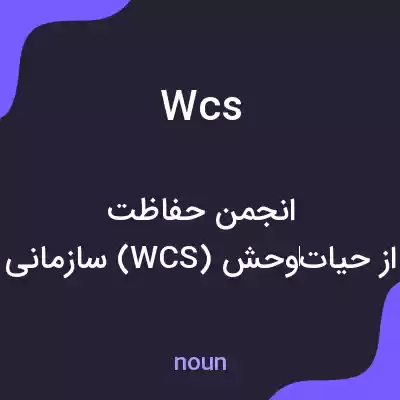 معنی wcs به فارسی معنی wcs به فارسی