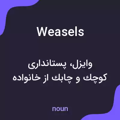 معنی weasels به فارسی معنی weasels به فارسی