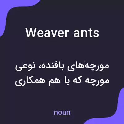 معنی weaver ants به فارسی معنی weaver ants به فارسی