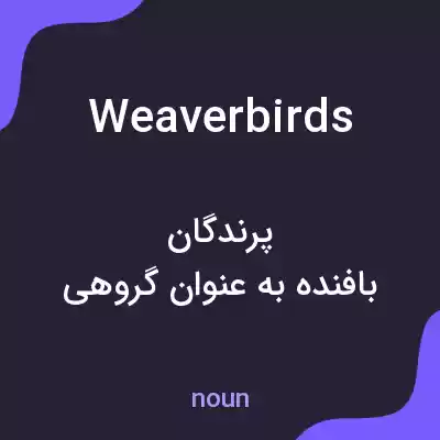 معنی weaver birds به فارسی معنی weaver birds به فارسی