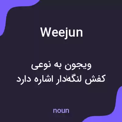 معنی weejun به فارسی معنی weejun به فارسی