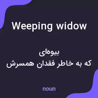 معنی weeping widow به فارسی معنی weeping widow به فارسی