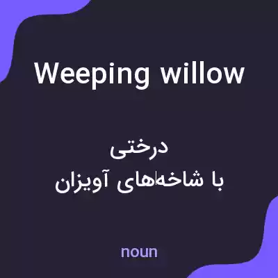 معنی weeping willow به فارسی معنی weeping willow به فارسی
