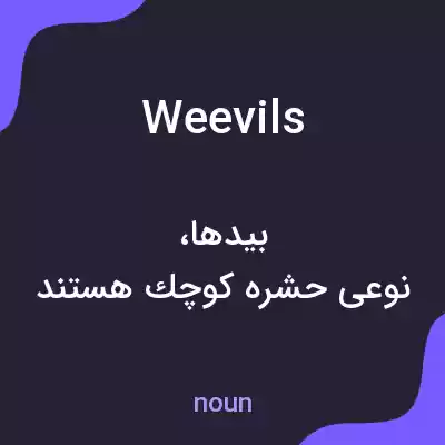 معنی weevils به فارسی معنی weevils به فارسی