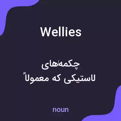 معنی wellies به فارسی معنی wellies به فارسی