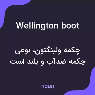 معنی wellington boot به فارسی معنی wellington boot به فارسی