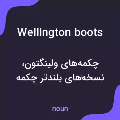 معنی wellington boots به فارسی