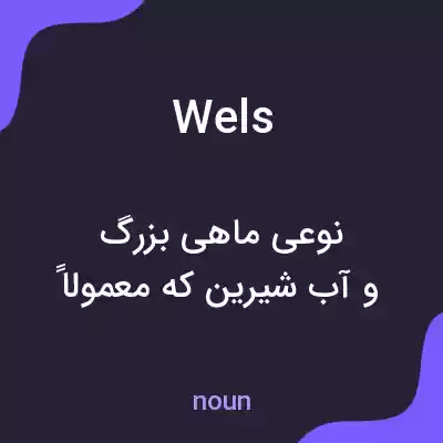 معنی wels به فارسی معنی wels به فارسی