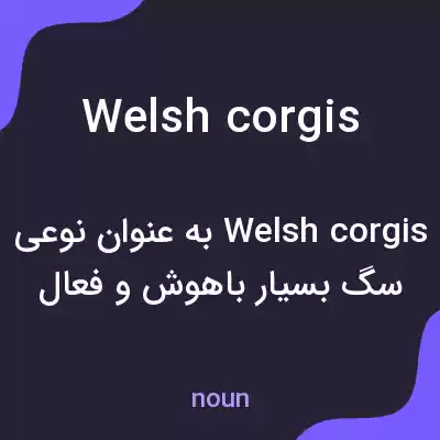 معنی welsh corgis به فارسی معنی welsh corgis به فارسی