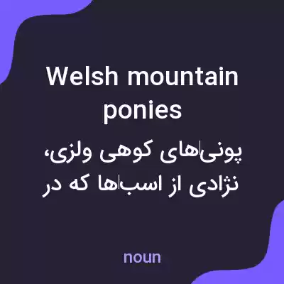 معنی welsh mountain ponies به فارسی معنی welsh mountain ponies به فارسی