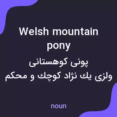 معنی welsh mountain pony به فارسی معنی welsh mountain pony به فارسی