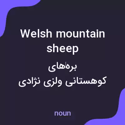 معنی welsh mountain sheep به فارسی معنی welsh mountain sheep به فارسی