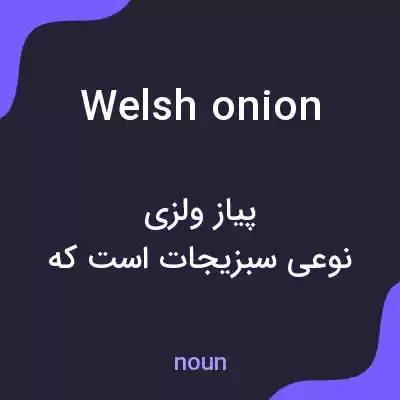 معنی welsh onion به فارسی معنی welsh onion به فارسی