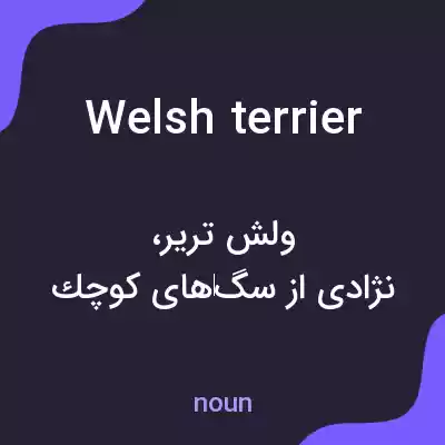 معنی welsh terrier به فارسی معنی welsh terrier به فارسی